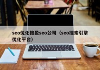 seo优化搜盈seo公司（seo搜索引擎优化平台）